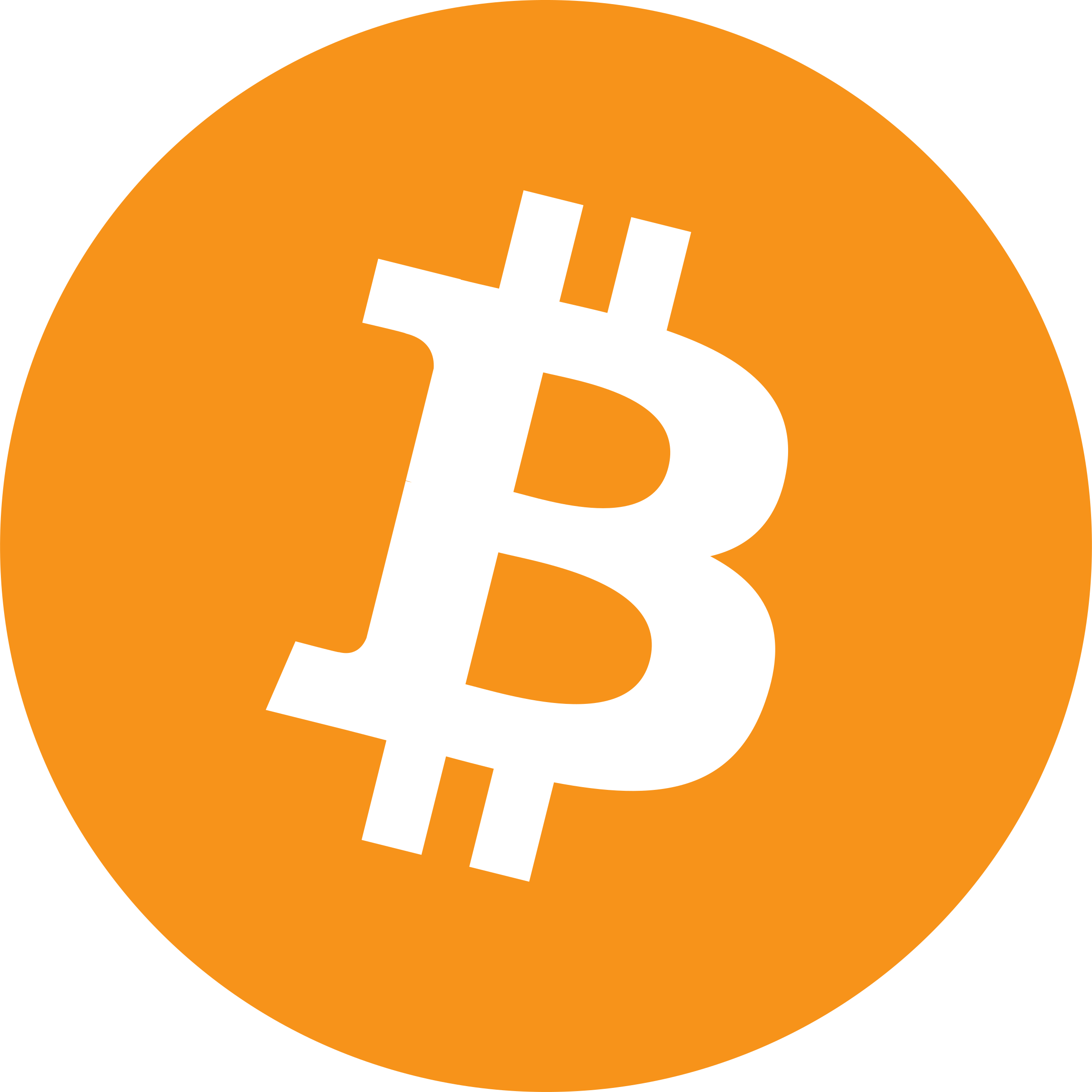 BTC Coin